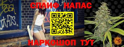 индика Бузулук