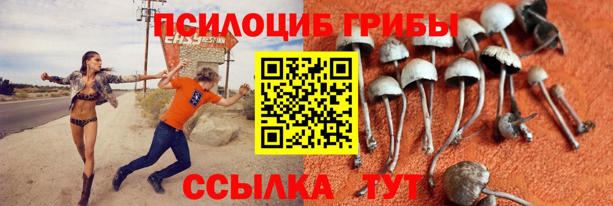 Псилоцибиновые грибы MAGIC MUSHROOMS  Псилоцибиновые грибы Cubensis  Вход с VPN  Красноармейск 